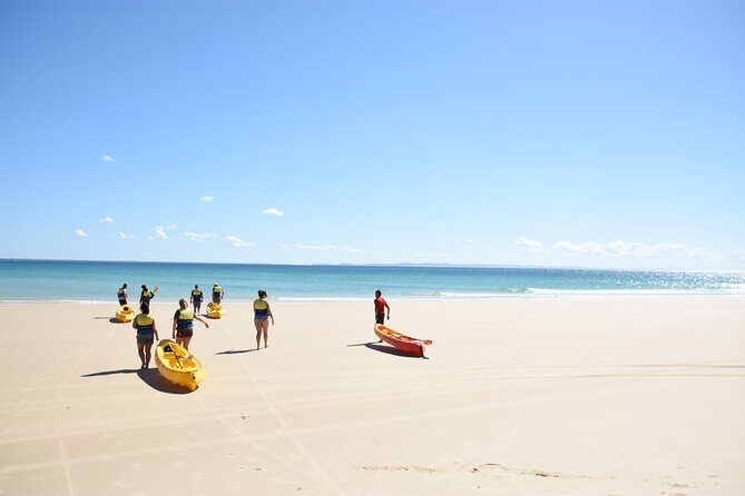Epic Rainbow Beach Dolphin Kayak and 4WD Adventure Tour - An Introduction to the Rainbow Beach Dolphin Kayak & 4WD Tour