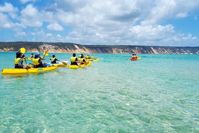 Epic Rainbow Beach Dolphin Kayak and 4WD Adventure Tour - Final Thoughts: Is It Worth It?
