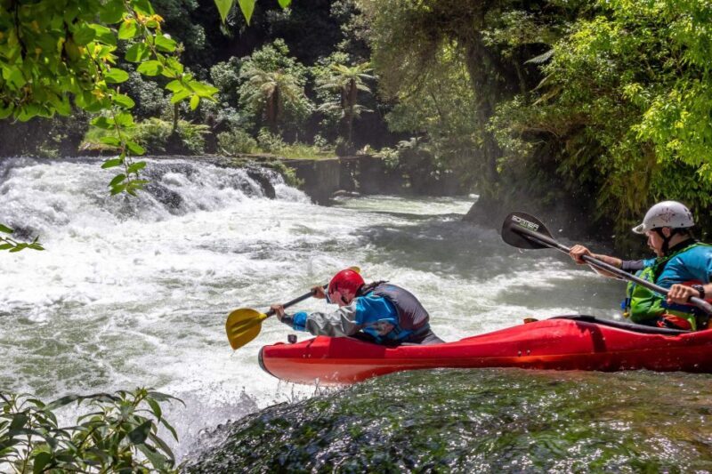 Epic Tandem Kayak Tour down the Kaituna River Waterfalls - Key Points