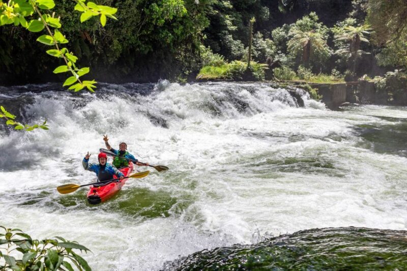Epic Tandem Kayak Tour down the Kaituna River Waterfalls - Authentic reviews and what they reveal