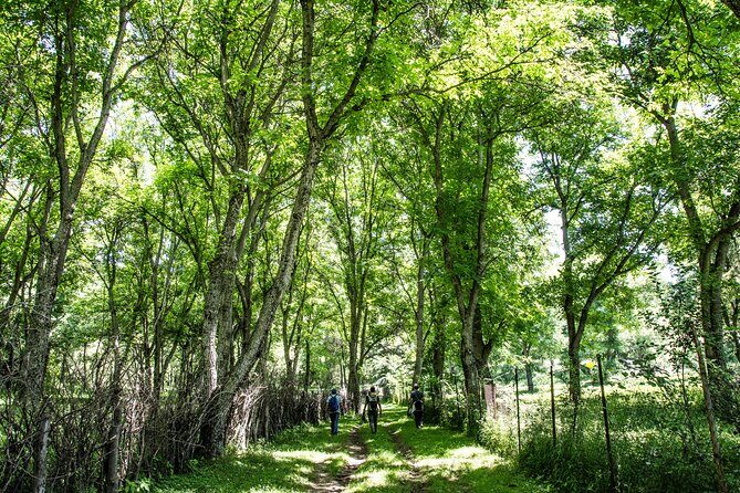 Epic Trip from Osh to Song Kol and Issyk Kul - Overall Value and Who Should Consider This Tour