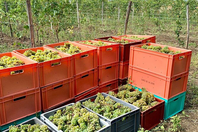 epicurean-discovery-tour-with-wine-local-specialties