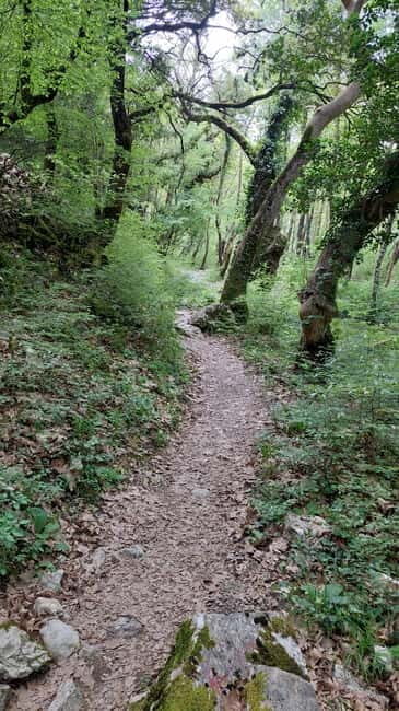 Epirus: Zagori Rafting Tour with viewpoints,lunch and photos - An In-Depth Look at the Zagori Rafting Experience