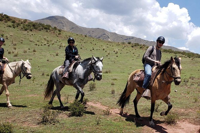 equestrian-experience-peruvian-paso-horse