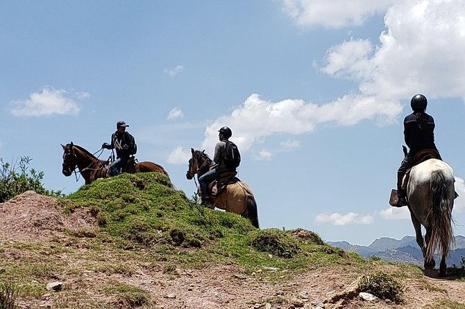 equestrian-experience-peruvian-paso-horse