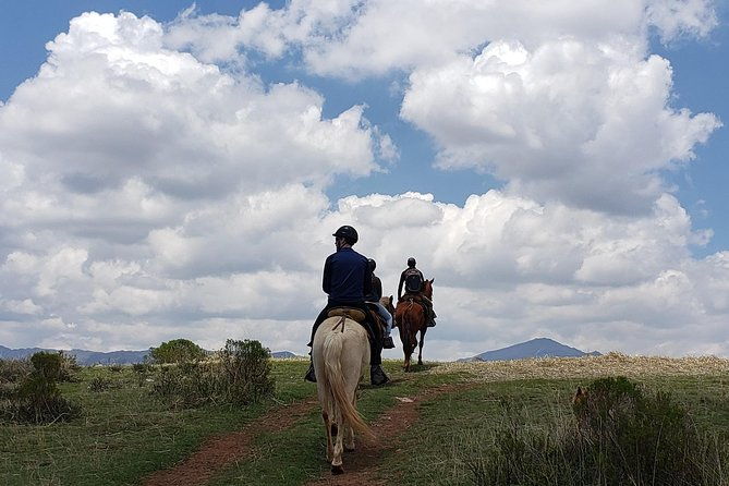 equestrian-experience-peruvian-paso-horse