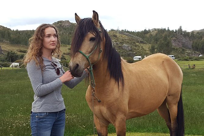 equestrian-experience-peruvian-paso-horse