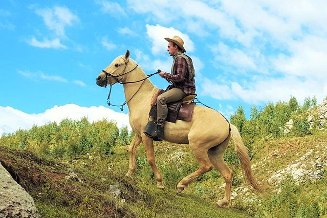 equestrian-experience-peruvian-paso-horse