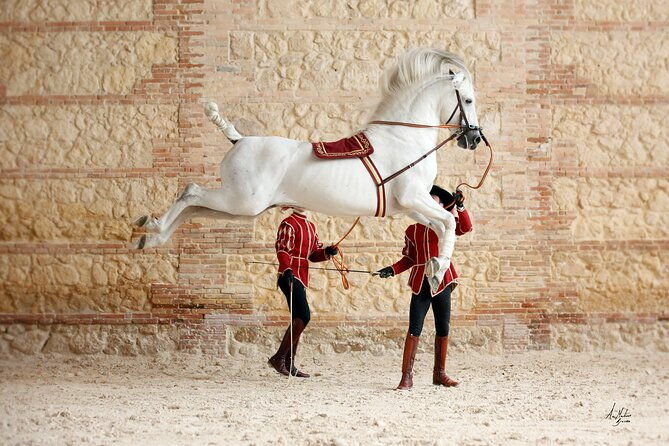 equestrian-show-royal-stables-of-cordoba