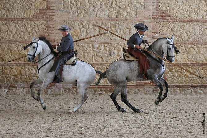equestrian-show-royal-stables-of-cordoba