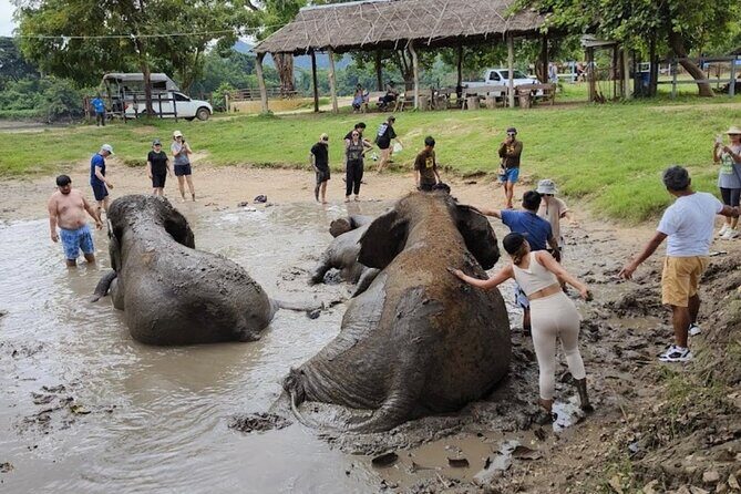 Erawan Waterfall and Elephant care from Bangkok -Private Tour - FAQ
