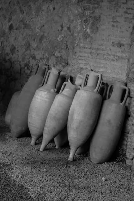 ERCOLANO: ENTRANCE TICKET - SKIP THE LINE WITH OPTIONAL TRANSFER - Key Points