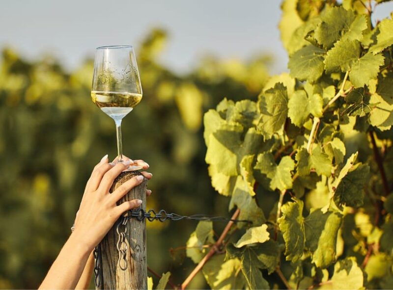 ercolano-vineyards-view-cellar-wine-tasting-and-brunch