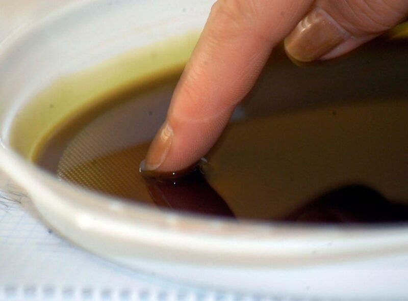 ercolano-vineyards-view-cellar-wine-tasting-and-brunch