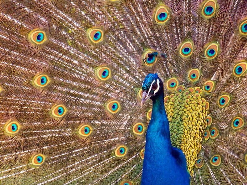 Erfurt: Erfurt Zoo Entry Ticket - What to Expect at Erfurt Zoo