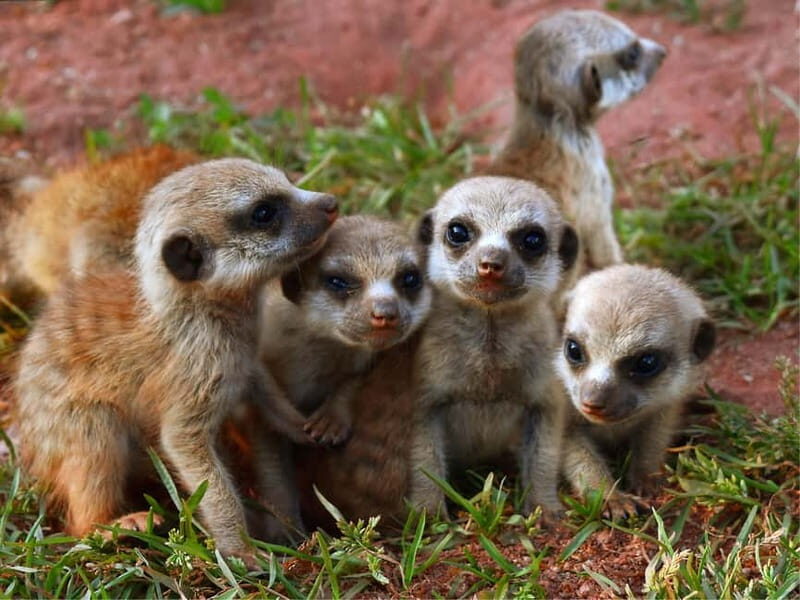 Erfurt: Erfurt Zoo Entry Ticket - Who will enjoy this experience?