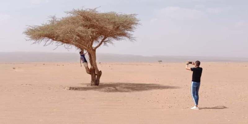 Erg Chegaga Desert Adventure: Magical 2 Days from M'hamid - Final Thoughts