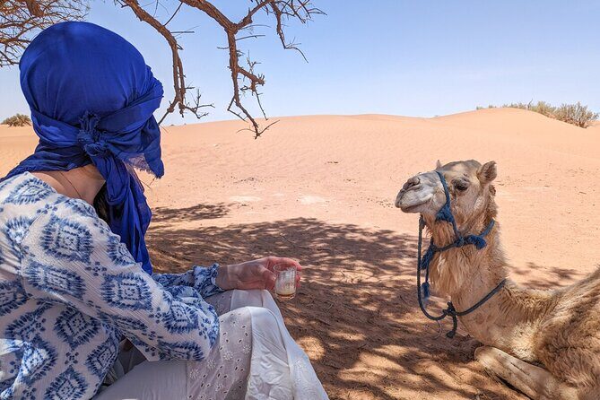 Erg Chigaga Desert Tour from Mhamid by 4x4 Morocco Sahara dunes - An In-Depth Look at the Erg Chigaga Tour