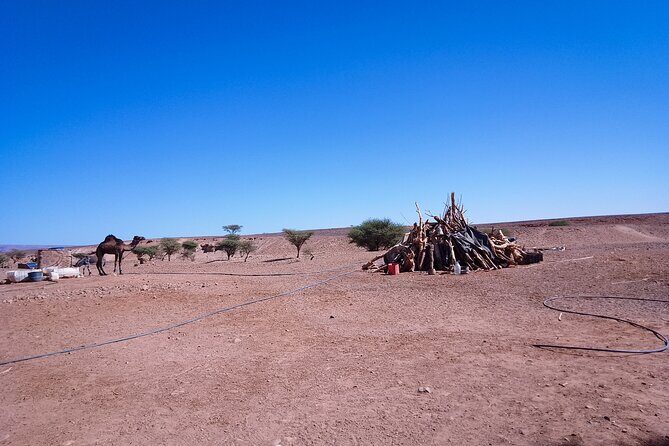 Erg Chigaga Overnight stay in the heart of the great dunes. - Key Points