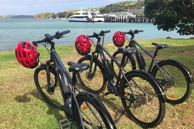 eRide Waiheke 5 bays ride - Authentic Experiences from Reviewers  
