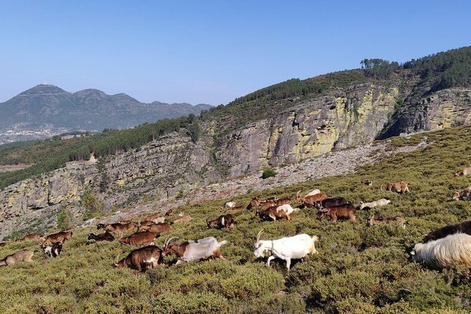 ermelo-fissures-trail