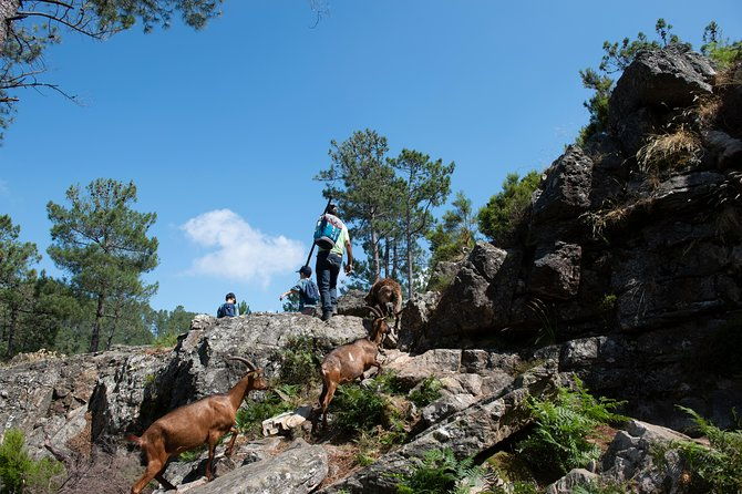 ermelo-fissures-trail