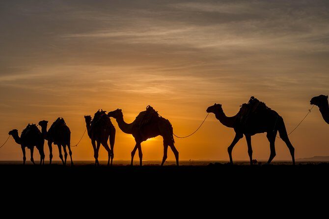 Ertaale and Dallol 6 Days Tour Package - FAQ