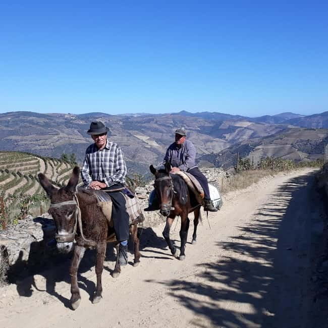 Ervedosa do Douro: Guided Walking Tour with Picnic Lunch - Breaking Down the Itinerary