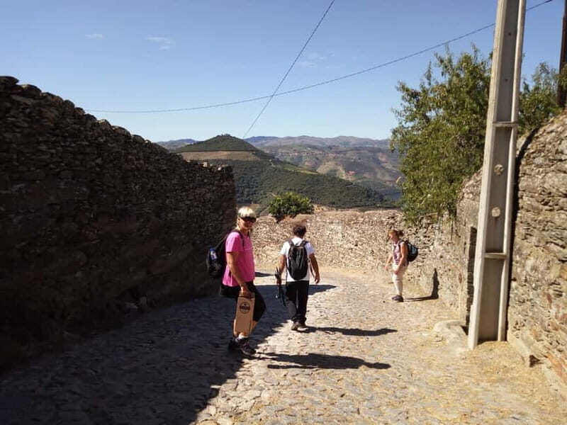 Ervedosa do Douro: Guided Walking Tour with Picnic Lunch - The Sum Up