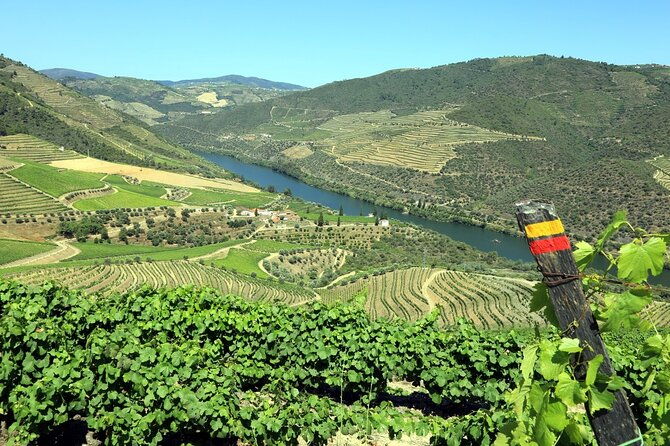 ervedosa-do-douro-walking-tour