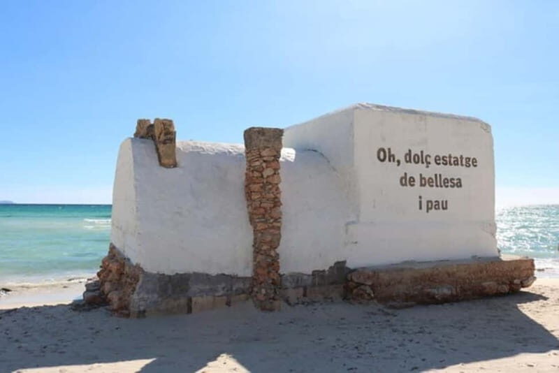 Es Trenc: Día de Barco Privado - Final Words: Why You Should Consider This Experience