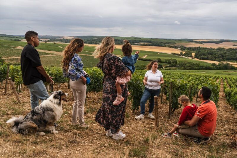 escapade-and-tasting-in-the-chablis-vineyards