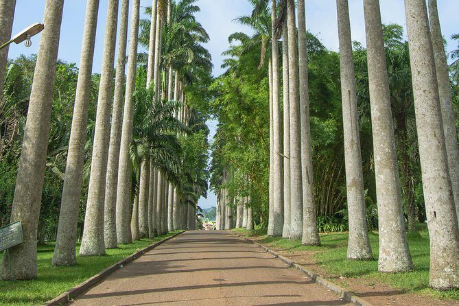 Escape Accra City to Aburi Gardens and Tetteh Quarshie Cocoa Farms - Exploring the Beauty of Ghana: Aburi Gardens, Cocoa Farms, and Craft Village