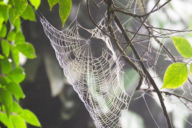 Escape Accra City to Aburi Gardens and Tetteh Quarshie Cocoa Farms - Why This Tour Is a Great Choice