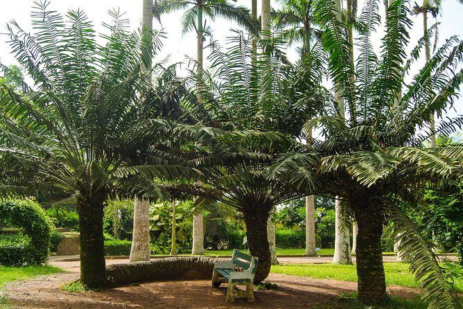 Escape Accra City to Aburi Gardens and Tetteh Quarshie Cocoa Farms - Final Thoughts