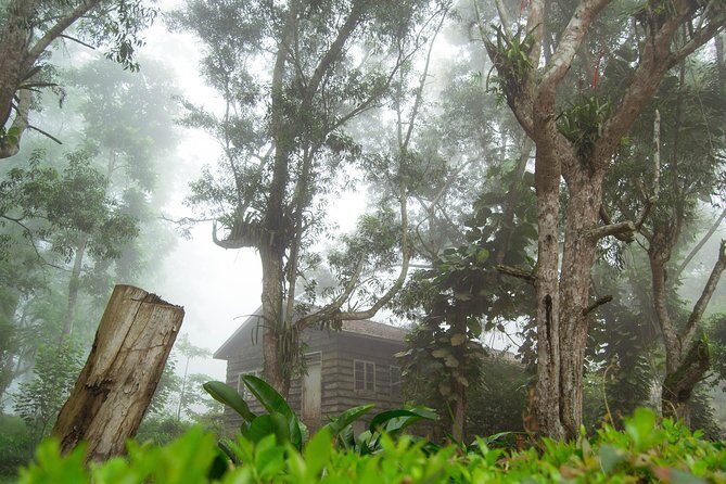 Escape Accra City to Aburi Gardens and Tetteh Quarshie Cocoa Farms - FAQ