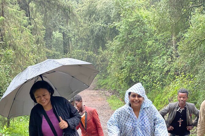 Escape from Addis to hike through beautiful Menagesha forest! - Why the Tour Offers Great Value
