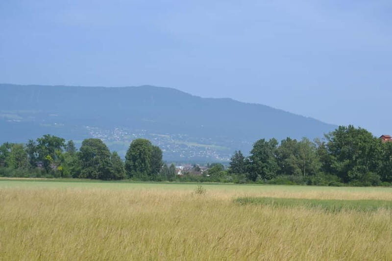 Escape from Geneva Wine Tasting Aperitif, Castle By E-bike - Who Should Sign Up?