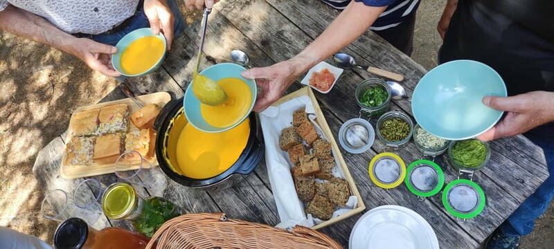 Escape from Tallinn  Hike, Swim, Forage & Cuddle Sled Dogs - Practical Details and Value