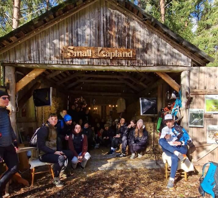Escape from Tallinn  Hike, Swim, Forage & Cuddle Sled Dogs - Who Should Consider This Tour?