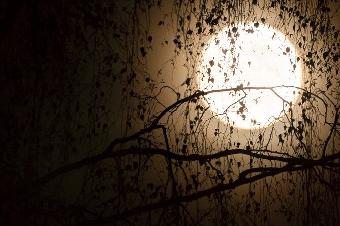 escape-game-team-theme-magic-in-porto