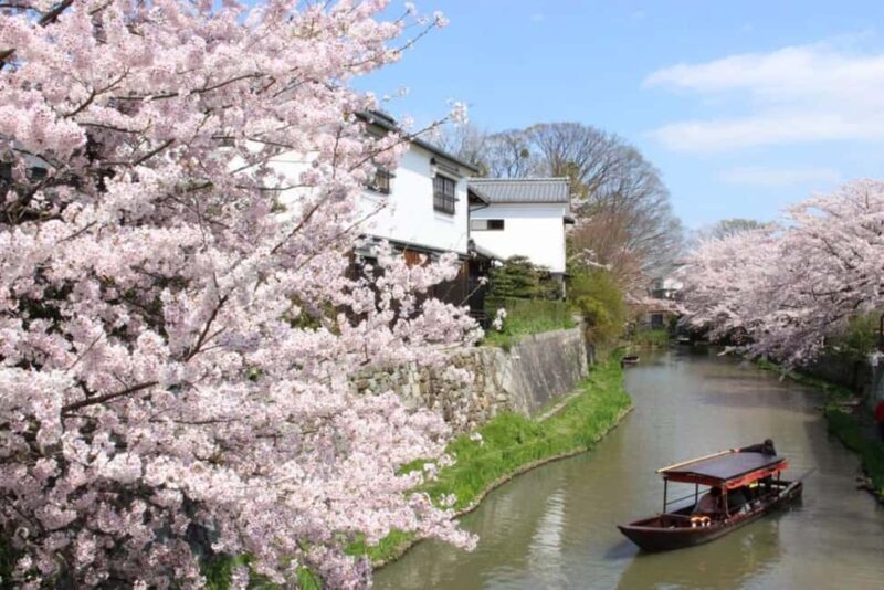 Escape Kyotos Crowds to Tranquil Hachiman Canals and Nature - Cost and Value Analysis
