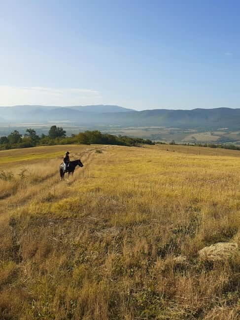Escape Sofia: horse ride through Bulgaria´s beauty - Discovering the Ride: What to Expect from This Bulgaria Horse Tour