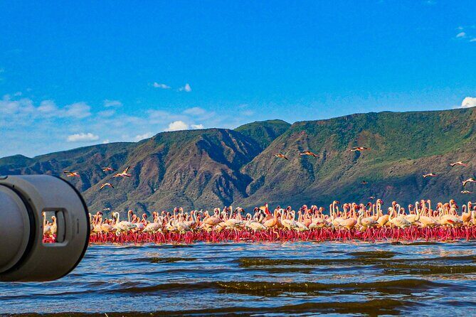 Escape to Lake Bogoria, Flamingo's new home for an overnight safari - Key Points