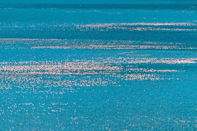 Escape to Lake Bogoria, Flamingo's new home for an overnight safari - A Complete Breakdown of the 2-Day Itinerary