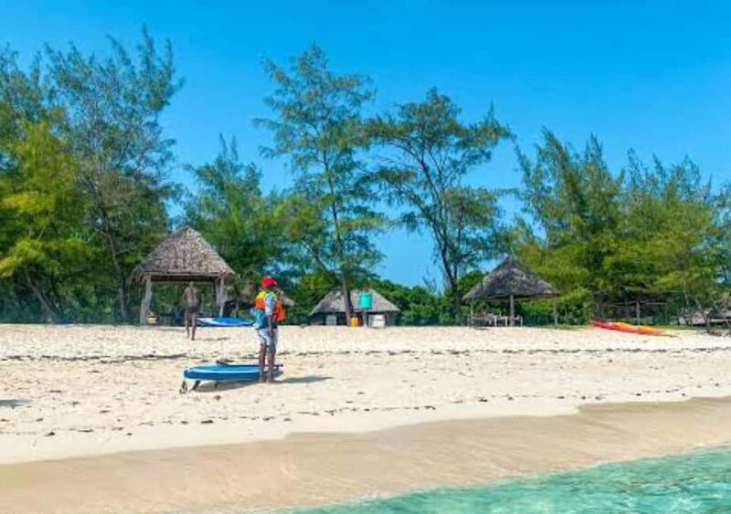 Escape to Paradise A day of sun, sand and adventure Mbudya - A Deep Dive into the Mbudya Island Experience