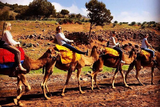 Escape to the Agafay Desert on a day trip from Marrakesh to Atlas - The Practical Side: What to Expect and Consider
