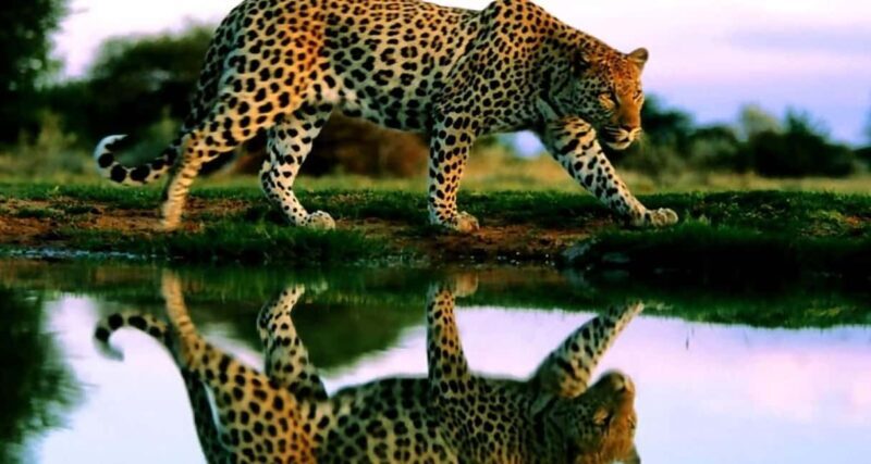 Escape to Tranquility: Zambezi River in 6 Days - The Sum Up