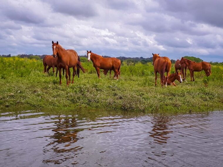 escaroupim-1-hour-boat-trip-guided-tour