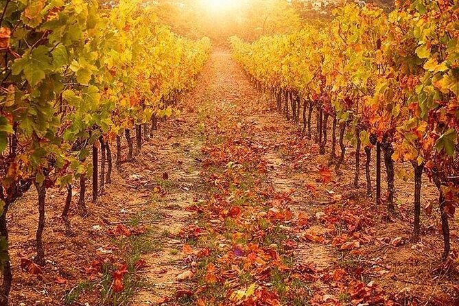 escorted-tour-siena-san-gimignano-and-chianti